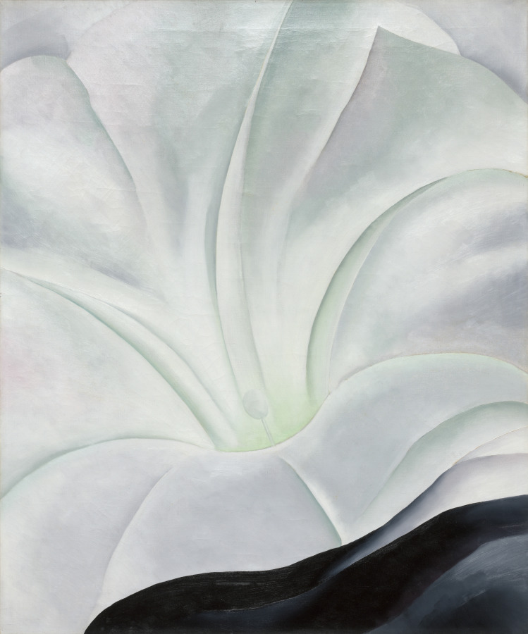 Urban Form: Morning Glory with Black