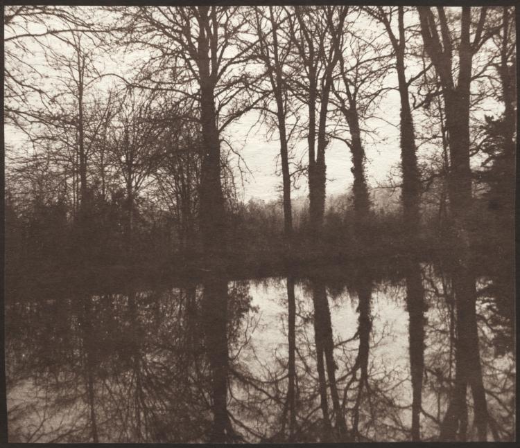Urban Form: Winter Trees Reflected in a Pond