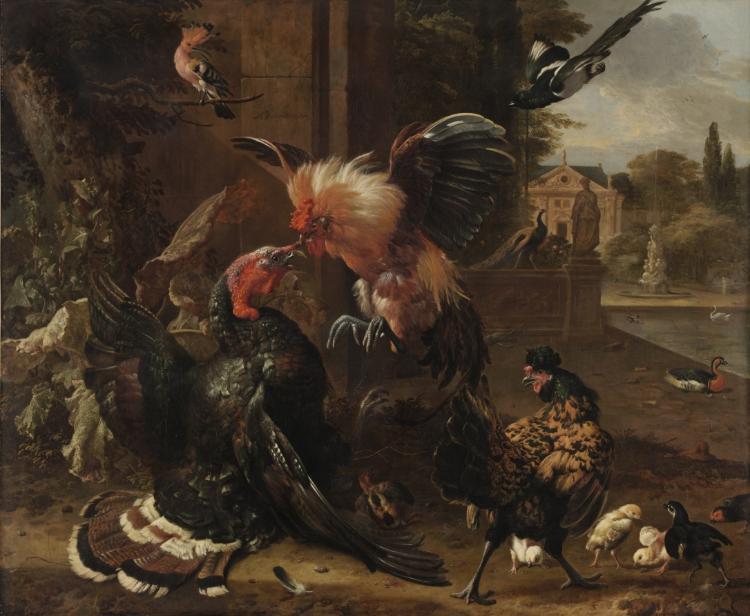 Urban Form: A Rooster and Turkey Fighting